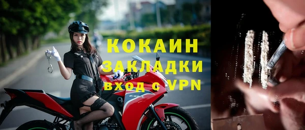 гидра Володарск