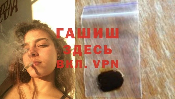 гидра Володарск