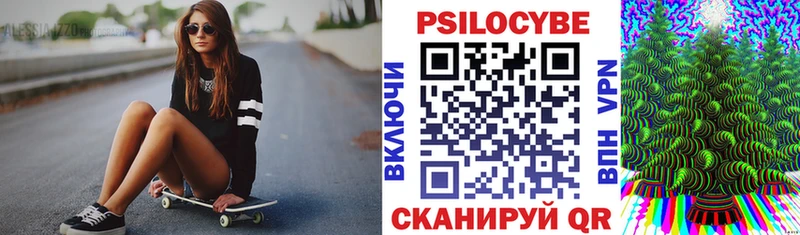 Галлюциногенные грибы Psilocybine cubensis  Купить  Стародуб 